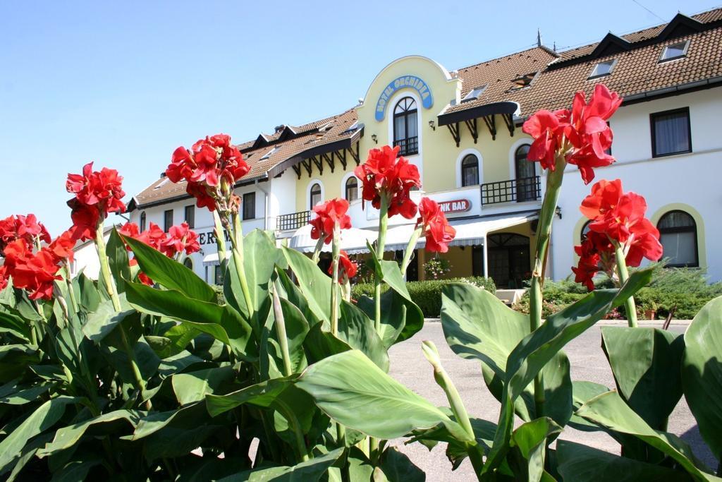Hotel Orchidea Balástya Eksteriør bilde