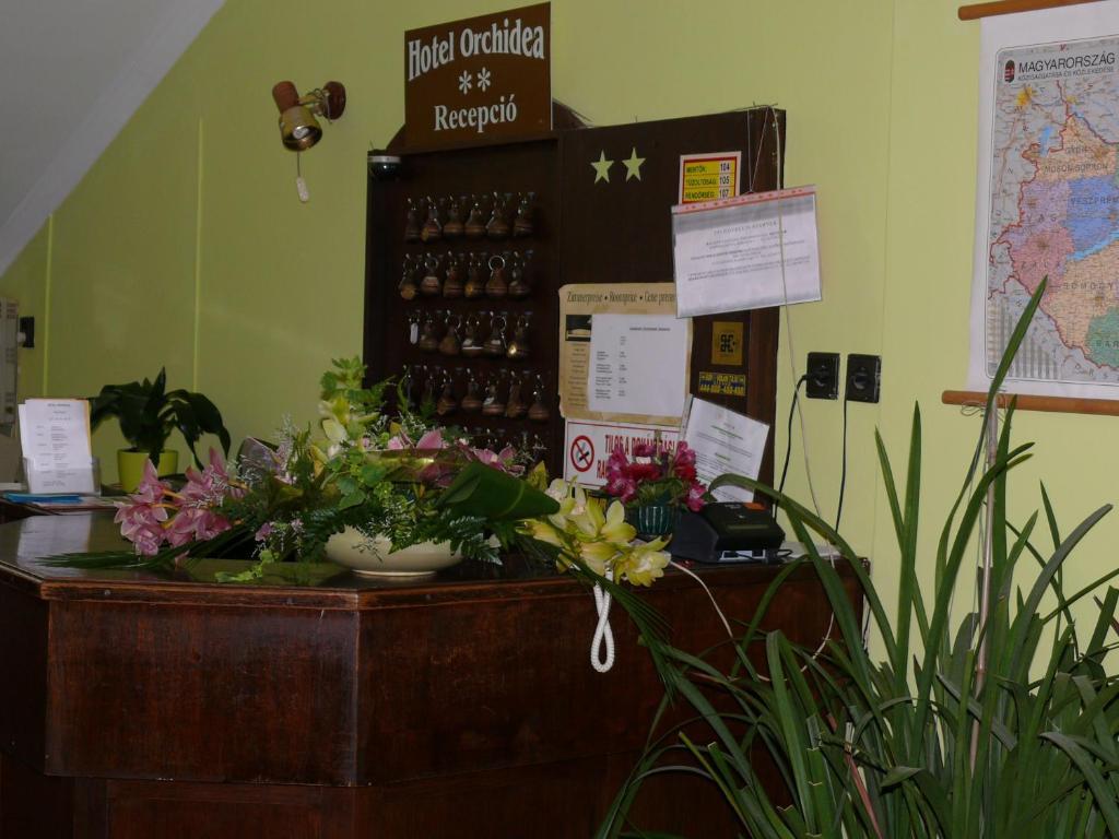 Hotel Orchidea Balástya Eksteriør bilde